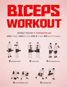 Biceps Workout
